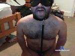 teddybear_slv cam4 livecam show performer room profile