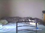 phenix21 cam4 livecam show performer room profile