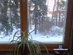 petros49 cam4 livecam show performer room profile