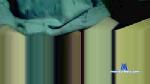 albe1964 cam4 livecam show performer room profile