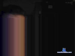 Bacele cam4 live cam performer profile
