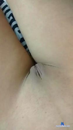 pr_reina cam4 live cam performer profile