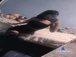 Ailem_kawaaii cam4 livecam show performer room profile