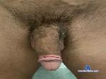 Andrea2profilo cam4 livecam show performer room profile