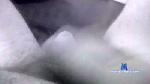 weepaul cam4 livecam show performer room profile