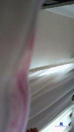 Nerdytomatin cam4 livecam show performer room profile