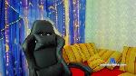 fortybro cam4 livecam show performer room profile