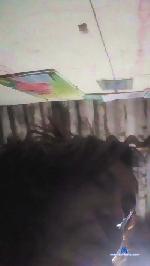 bellaya_sexy cam4 livecam show performer room profile