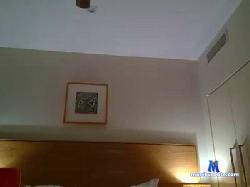 Aussieflyer cam4 live cam performer profile