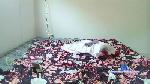Vaneh cam4 livecam show performer room profile