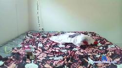 Vaneh cam4 live cam performer profile