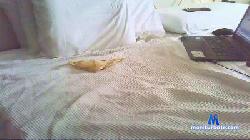 pratohairy cam4 live cam performer profile