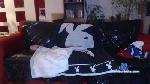 hairy40pl cam4 livecam show performer room profile