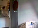 lomunhot cam4 livecam show performer room profile