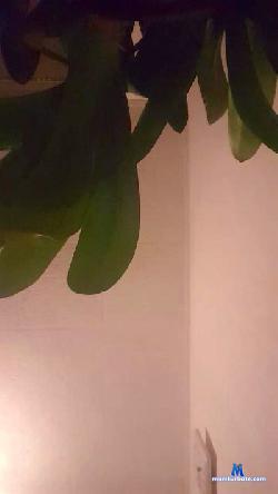 gremlins1 cam4 live cam performer profile