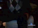 sheiky cam4 livecam show performer room profile