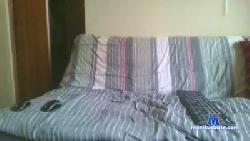 circcvmcisio cam4 live cam performer profile