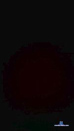 gbrlxd cam4 livecam show performer room profile