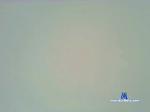 badmac_ cam4 livecam show performer room profile