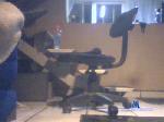 blankito5 cam4 livecam show performer room profile