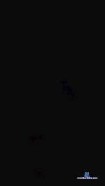 Lasly22 cam4 livecam show performer room profile