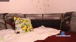 belgoboys cam4 livecam show performer room profile