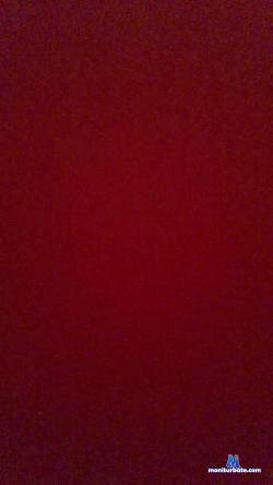 Merline cam4 live cam performer profile