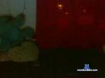 Kaily_Paerty cam4 livecam show performer room profile