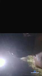 laparejatran cam4 livecam show performer room profile