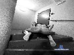 slaveformaster5 cam4 livecam show performer room profile