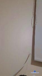 lololo55 cam4 livecam show performer room profile