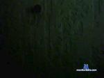 cockpierced9 cam4 livecam show performer room profile