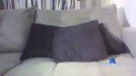 hondasarado cam4 livecam show performer room profile