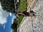 Prettygirljt_ cam4 livecam show performer room profile