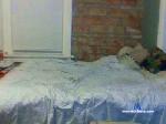 hard4dilfs cam4 livecam show performer room profile