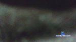 Jarinah2 cam4 livecam show performer room profile