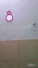 Bombonpauli cam4 livecam show performer room profile