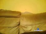 CARLOTIGR cam4 livecam show performer room profile