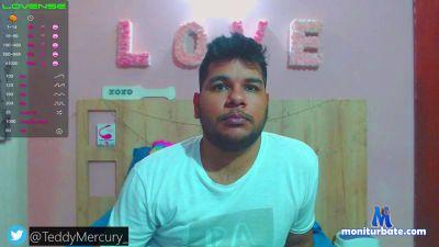 Teddymercury_ cam4 gay performer from United States of America edge panties lovense bear livetouch smallcock tokenkeno 