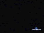 vogliadimare2 cam4 livecam show performer room profile