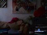 michael_mh cam4 livecam show performer room profile