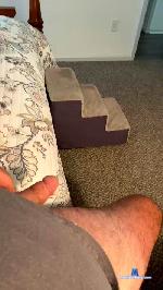 todd7 cam4 livecam show performer room profile