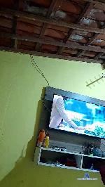josue12316 cam4 livecam show performer room profile