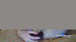 skinny1501 cam4 livecam show performer room profile