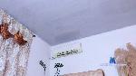 TwooHotGirls cam4 livecam show performer room profile