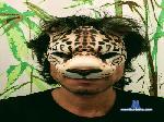 Akunapatata81 cam4 livecam show performer room profile