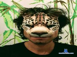 Akunapatata81 cam4 live cam performer profile
