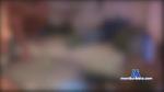 aaneney_xxx cam4 livecam show performer room profile