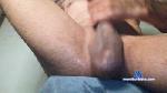 1mittwoch cam4 livecam show performer room profile