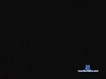 ppsilva cam4 livecam show performer room profile